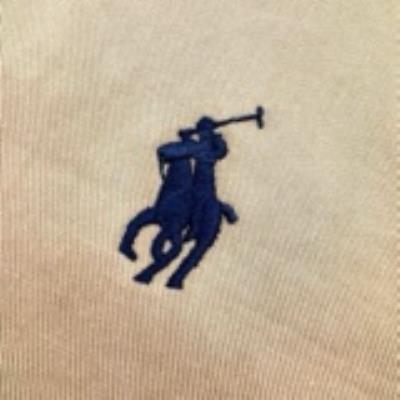 wholesale quality men ralph lauren hoodies model no. 497